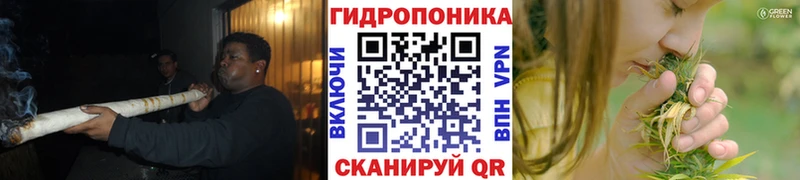 Где можно купить наркотики Салехард КОКАИН  Меф мяу мяу  Codein  МАРИХУАНА  A-PVP 