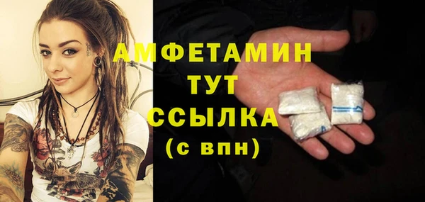 хмурый Алзамай
