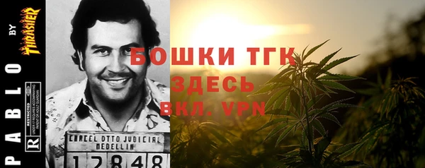 бошки Алексин
