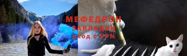 сатива Няндома