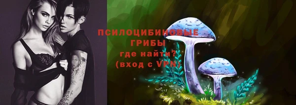 хмурый Алзамай