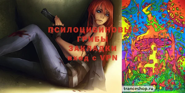 spice Алексеевка