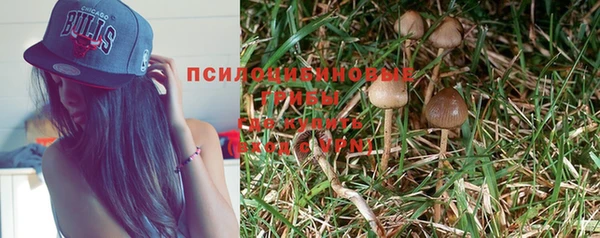 spice Алексеевка