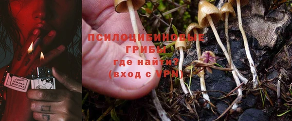 spice Алексеевка