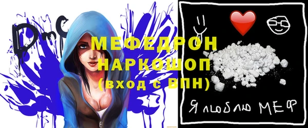 сатива Няндома